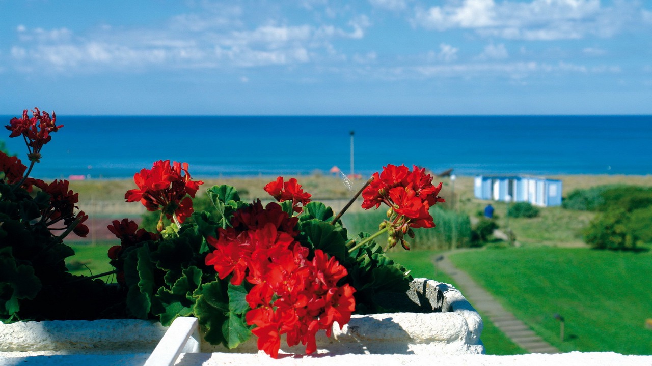 Photo of Outdoor in Baia Domizia