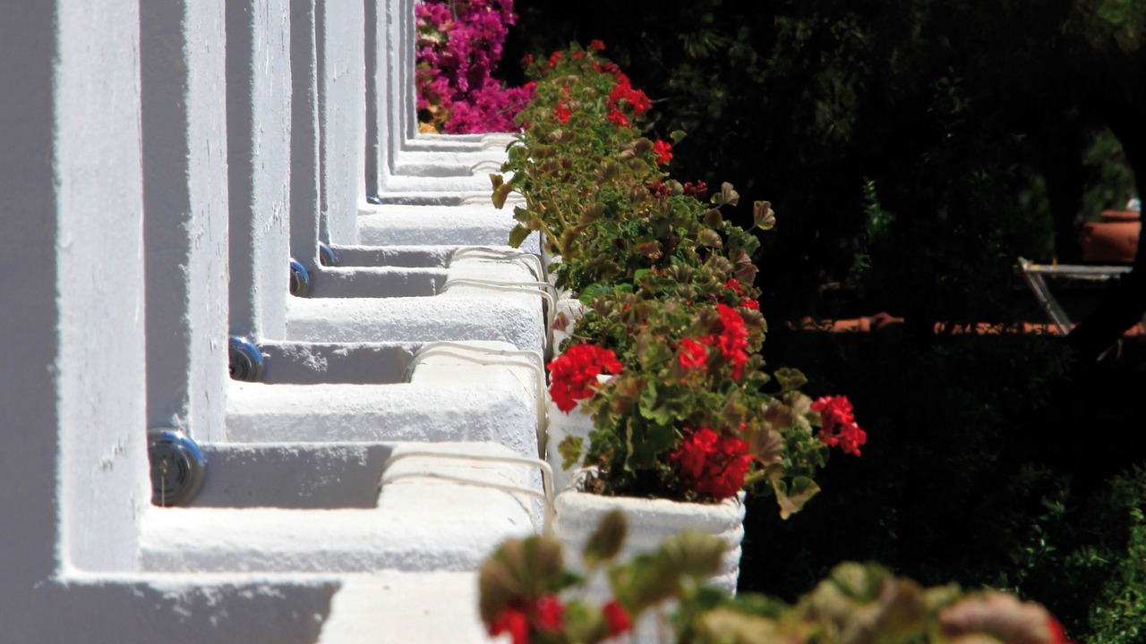 Photo of Outdoor in Baia Domizia