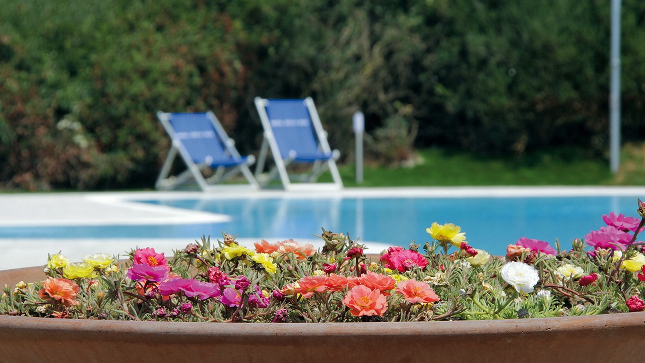 Photo of Outdoor in Baia Domizia