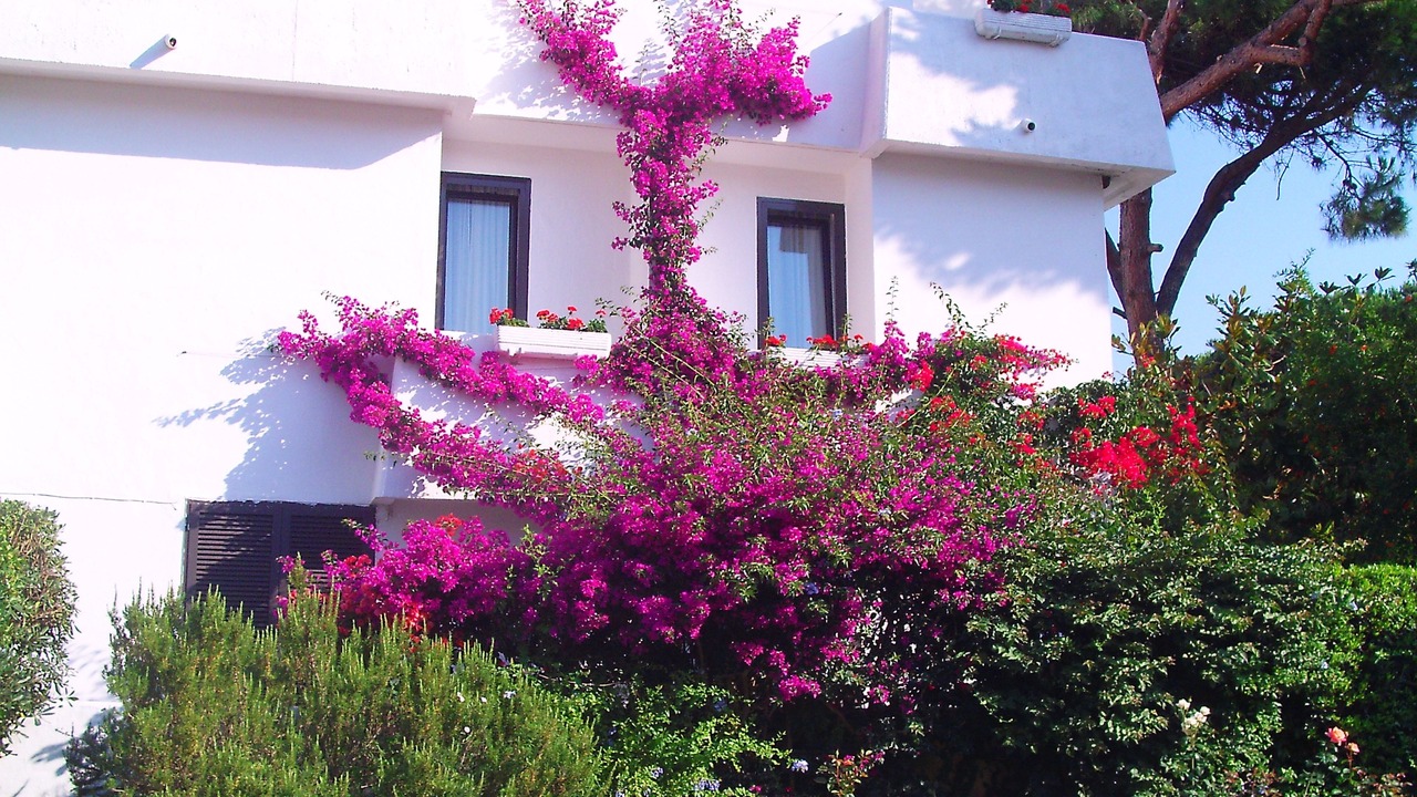 Photo of Outdoor in Baia Domizia
