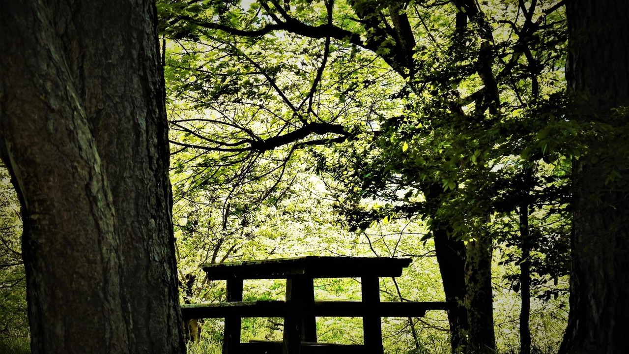Photo of Outdoor in Pavana