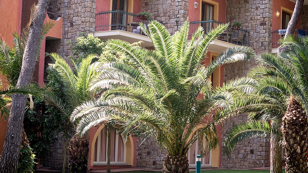 Photo of Outdoor in Forte Village
