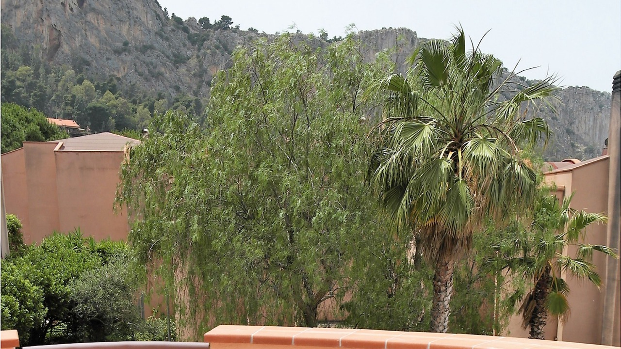 Photo of Others in Addaura