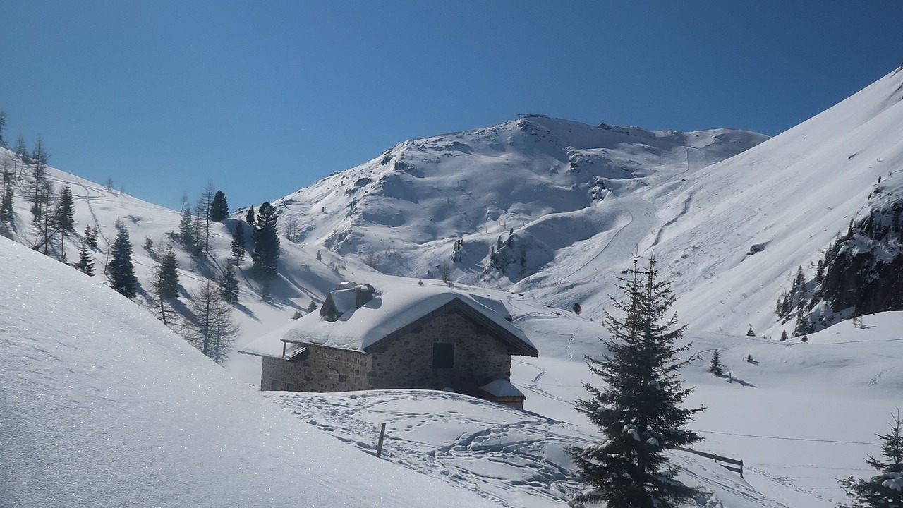 Photo of Others in Predazzo