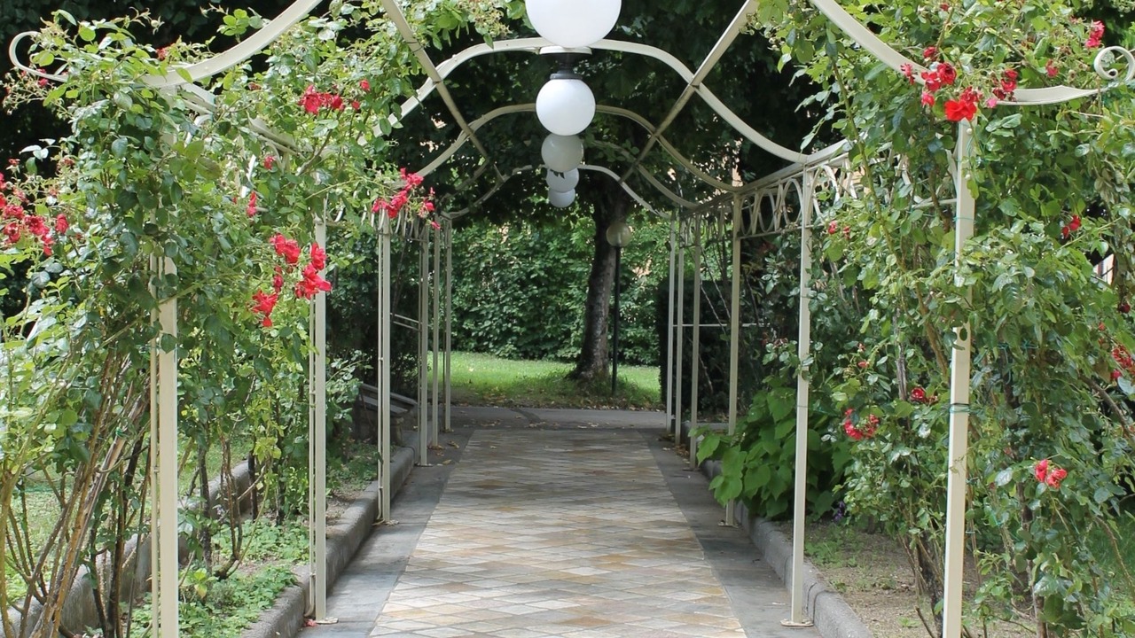 Photo of Outdoor in Vallombrosa