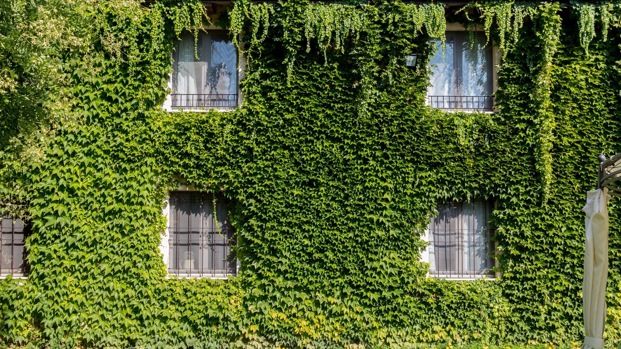 Photo of Outdoor in Carpaneto Piacentino