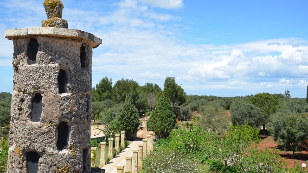 Photo of Outdoor in Sternatia