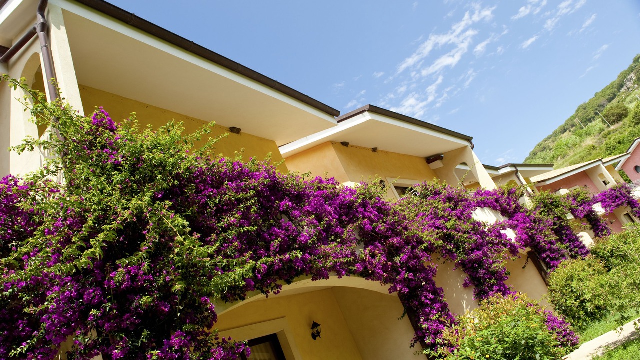 Photo of Outdoor in Marina di Zambrone