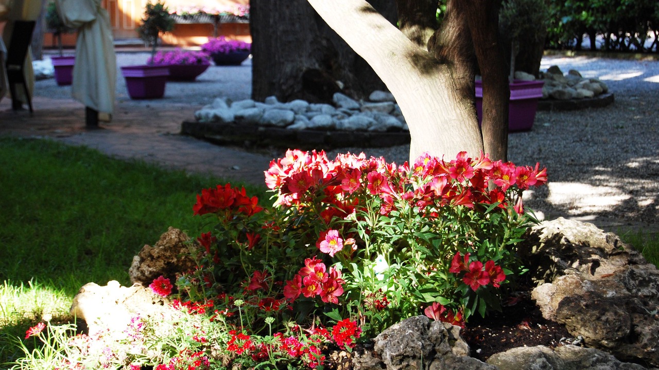 Photo of Outdoor in Arcore