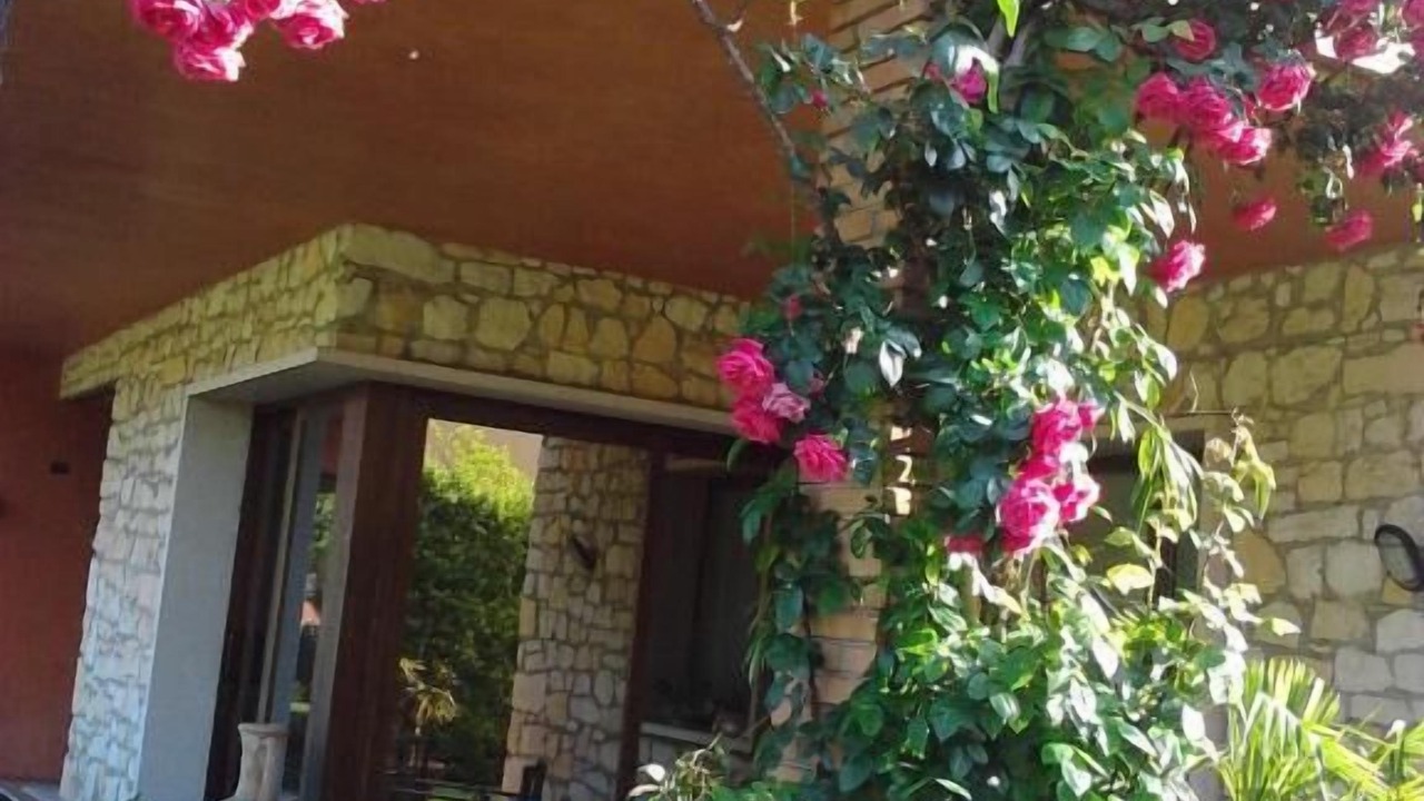 Photo of Outdoor in Monteforte d'Alpone