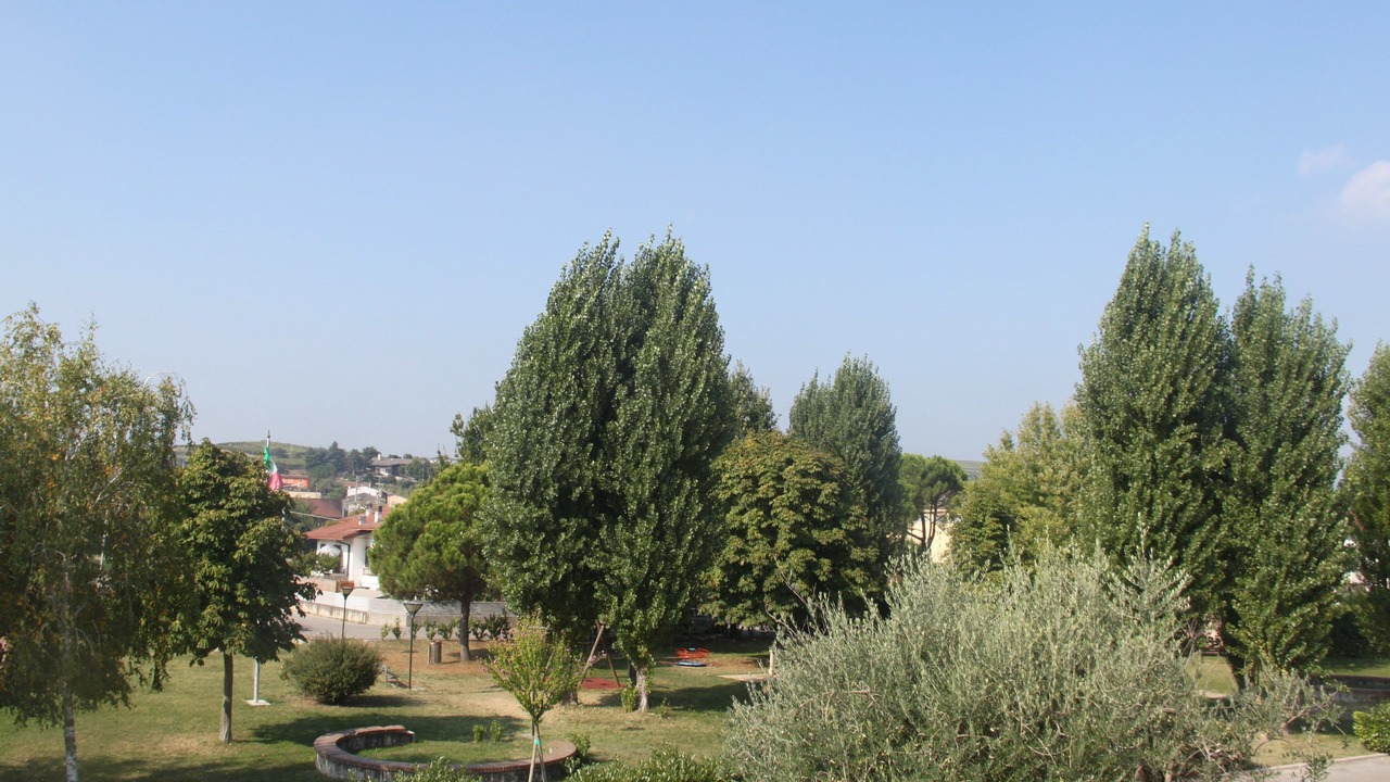 Photo of Outdoor in Monteforte d'Alpone