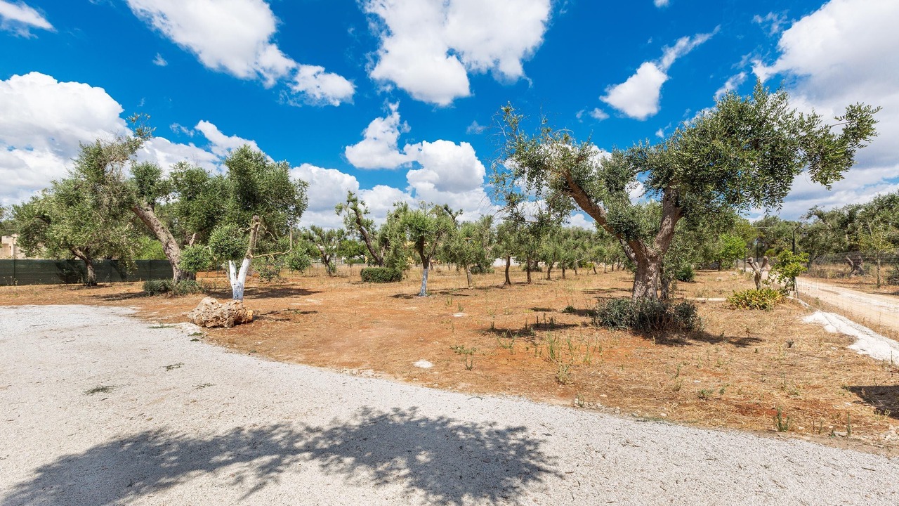 Photo of Outdoor in Latiano