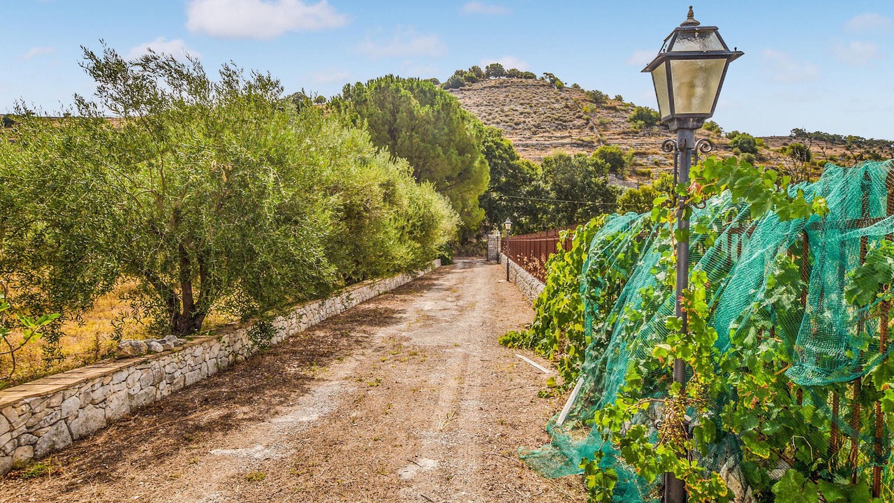 Photo of Outdoor in Casa Papa