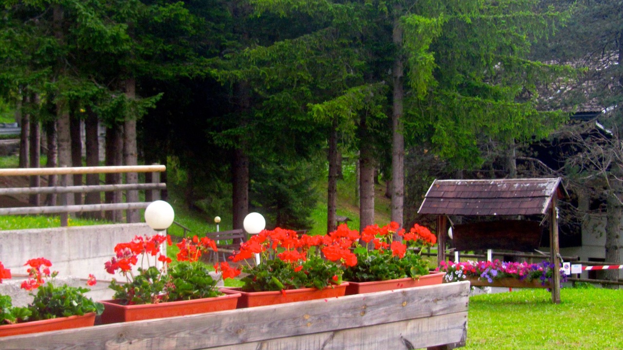Photo of Outdoor in Selva di Cadore