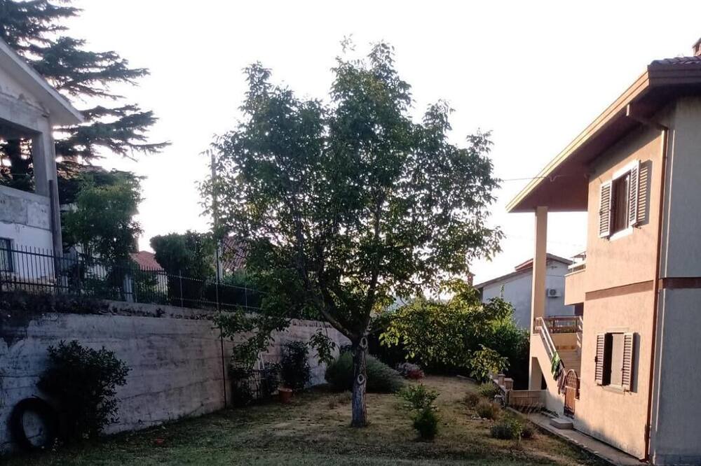 Photo of Outdoor in Muggia