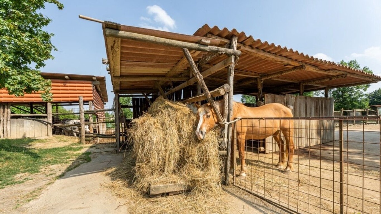 Photo of Outdoor in Ospedaletto di Pescantina