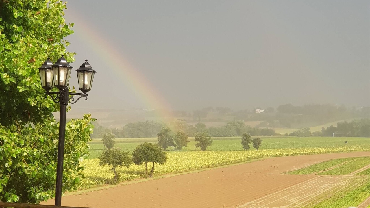 Photo of Outdoor in Monte Castello di Vibio