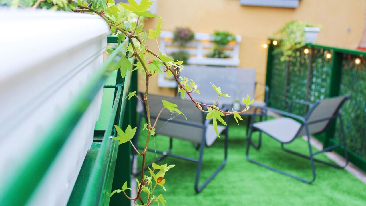 Photo of Outdoor in Massa Lombarda