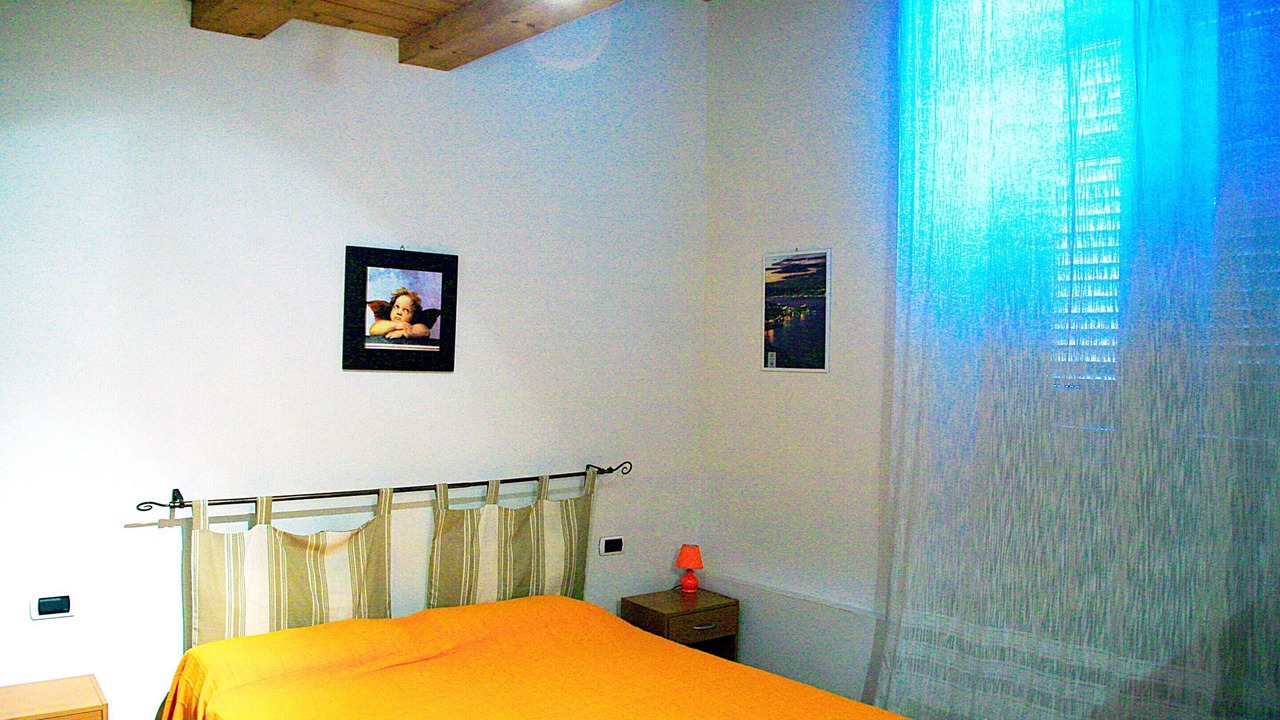 Photo of Others in Scilla