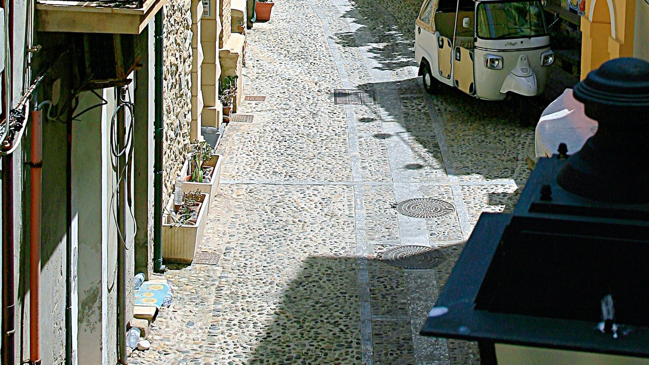 Photo of Others in Scilla