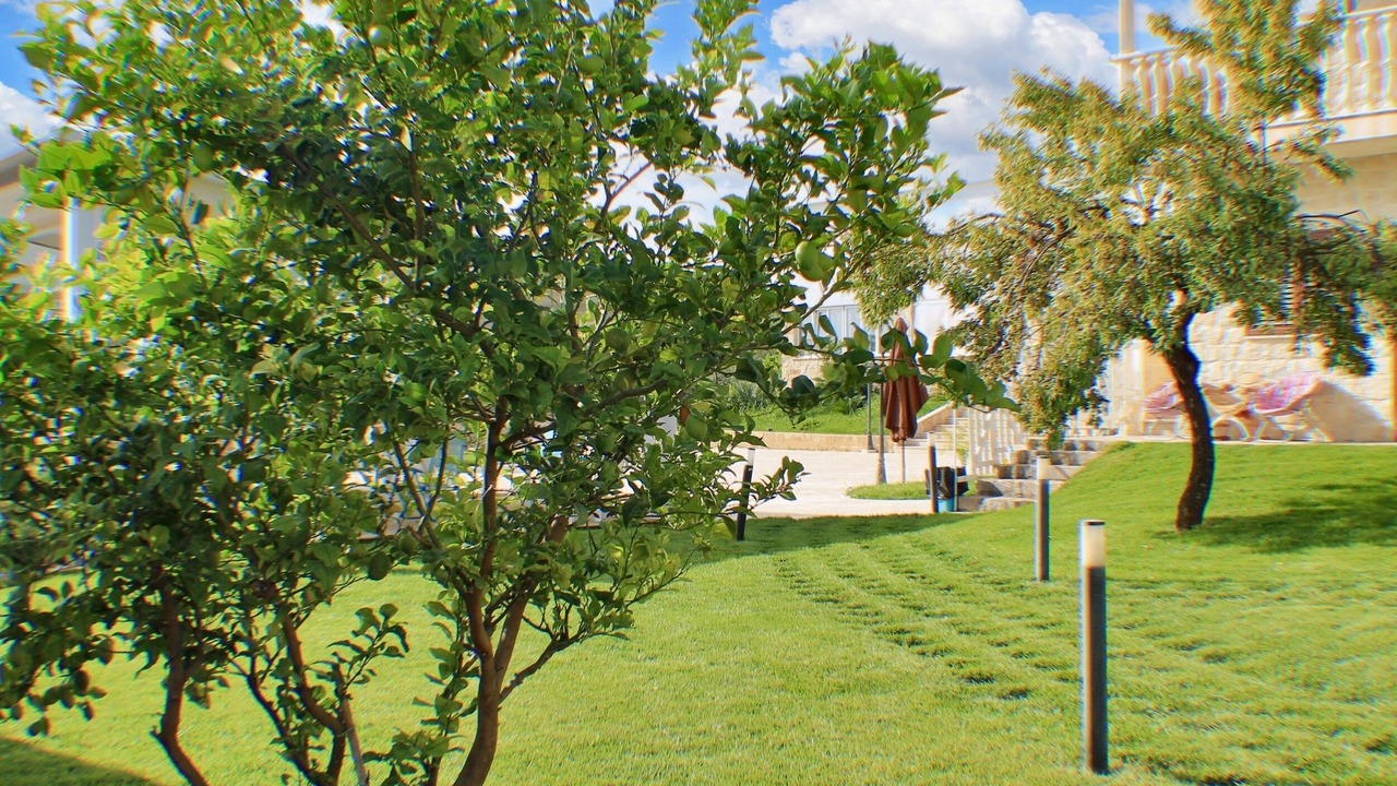 Photo of Outdoor in Casa Papa