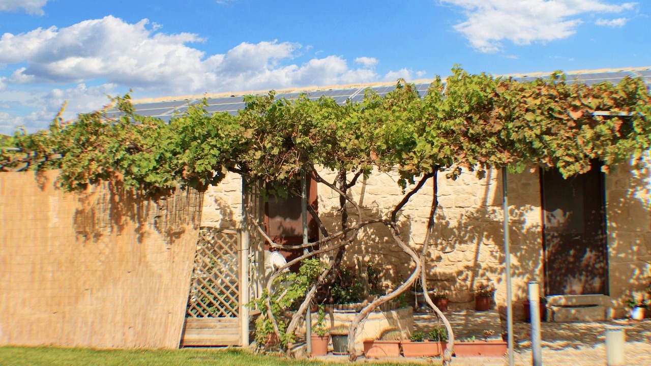 Photo of Outdoor in Casa Papa