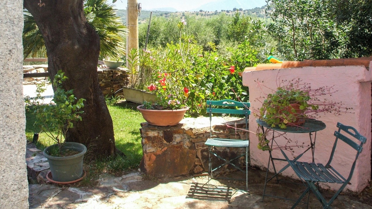 Photo of Patio Balcony in Posada