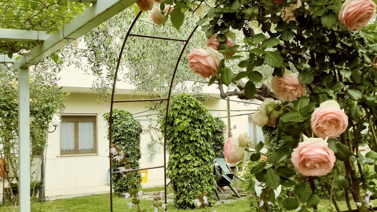 Photo of Outdoor in Tollo