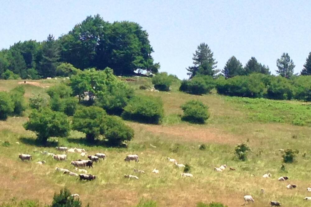 Photo of Outdoor in Rossano