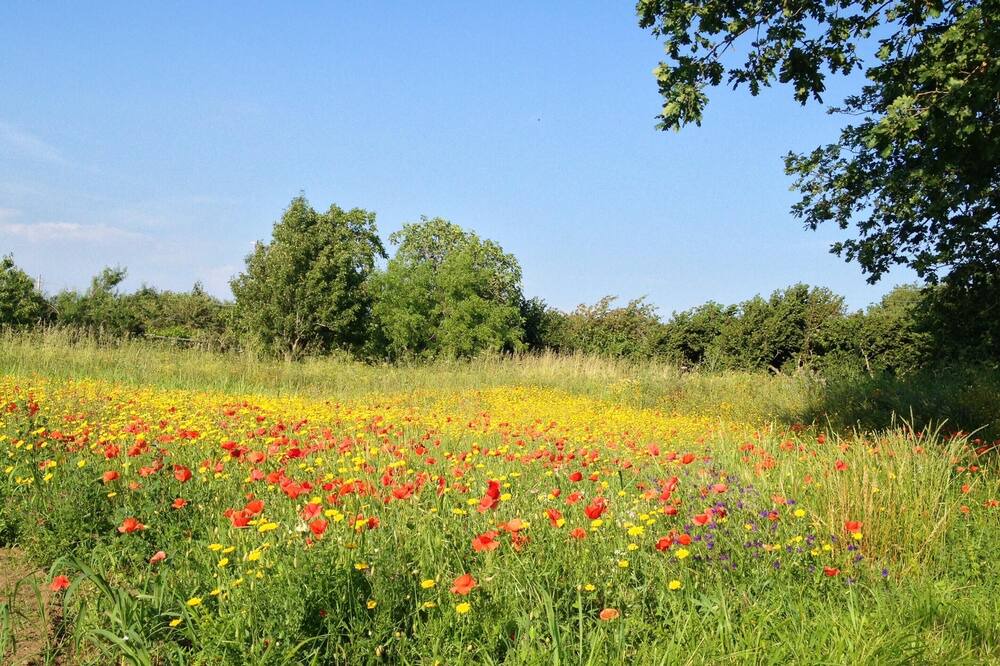 Photo of Outdoor in Rossano