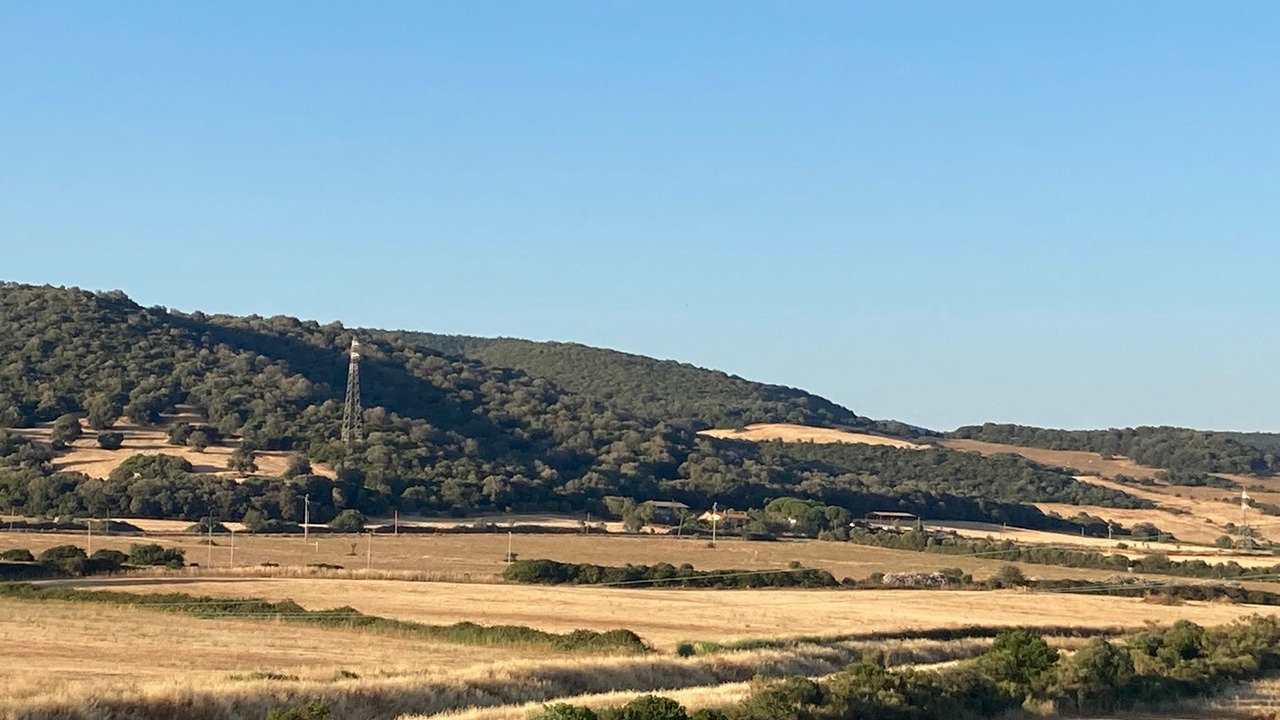 Photo of Outdoor in Tolfa