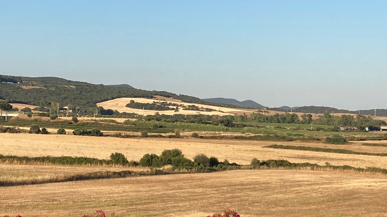 Photo of Outdoor in Tolfa