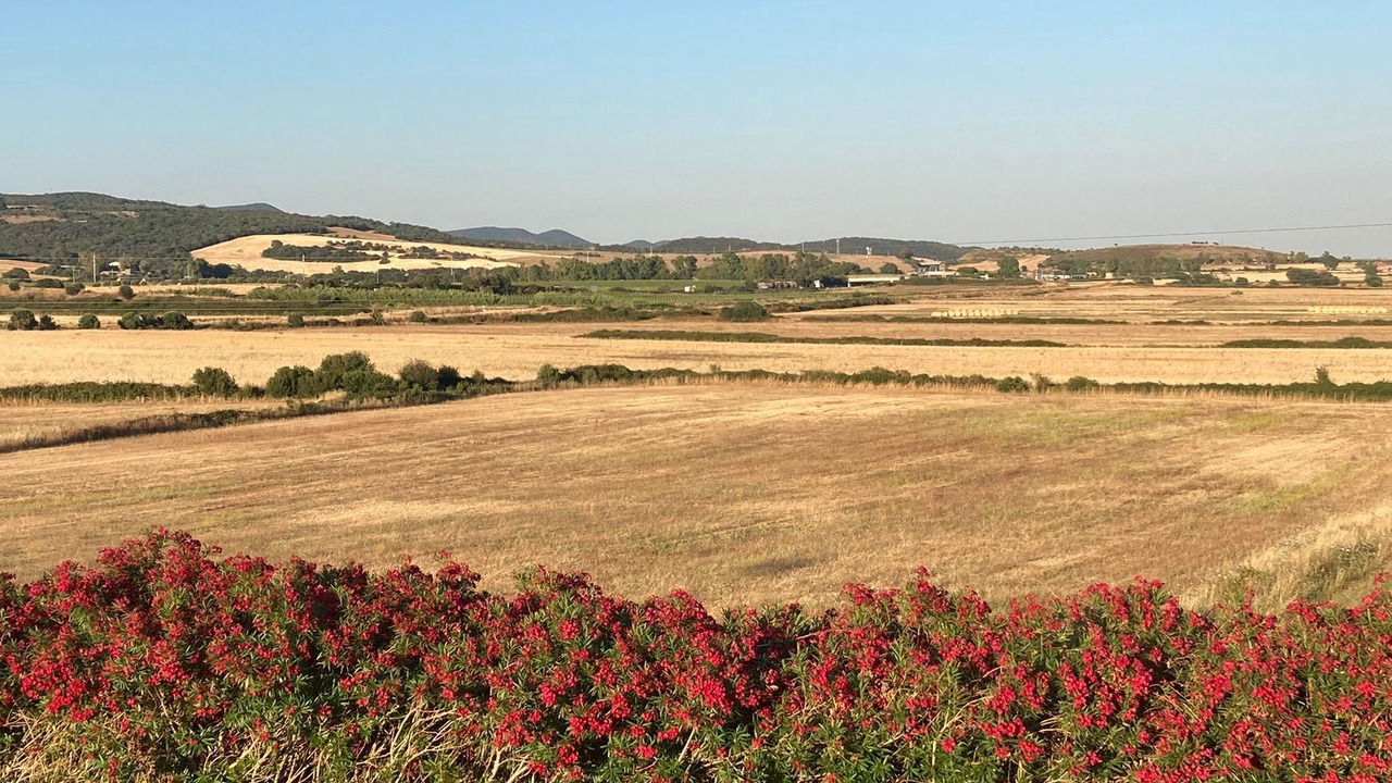 Photo of Outdoor in Tolfa