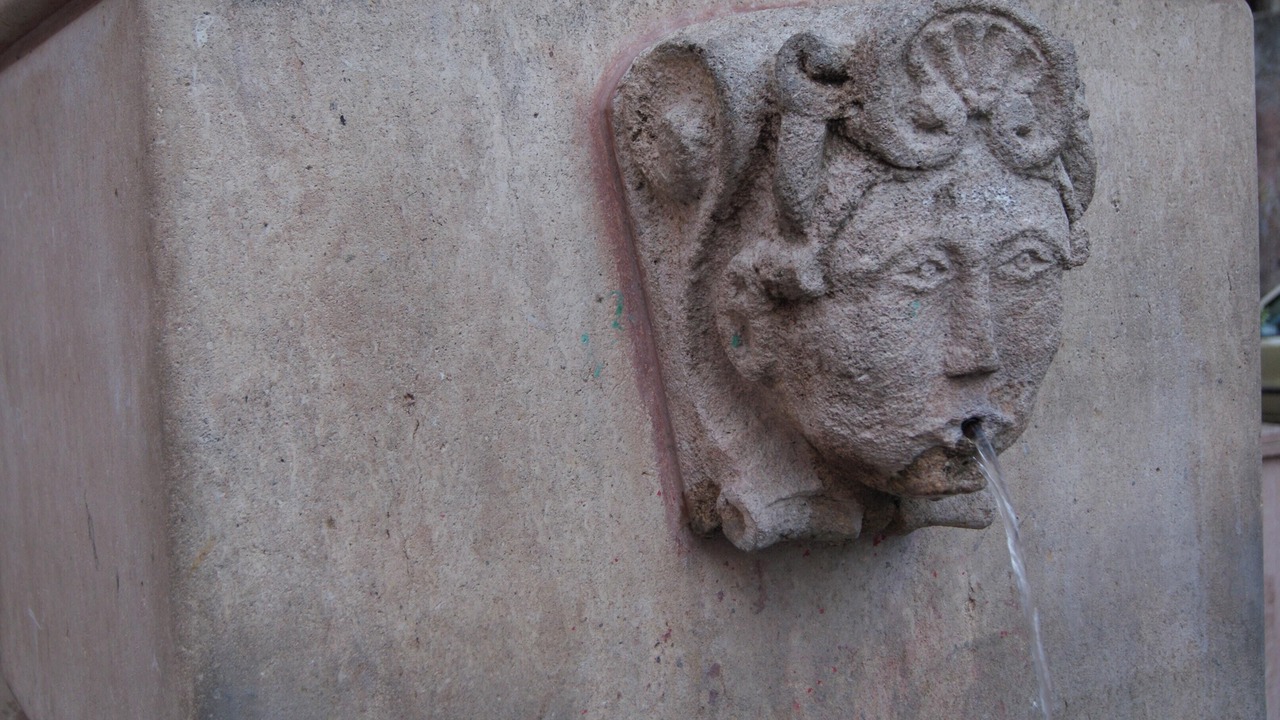 Photo of Others in Mendicino
