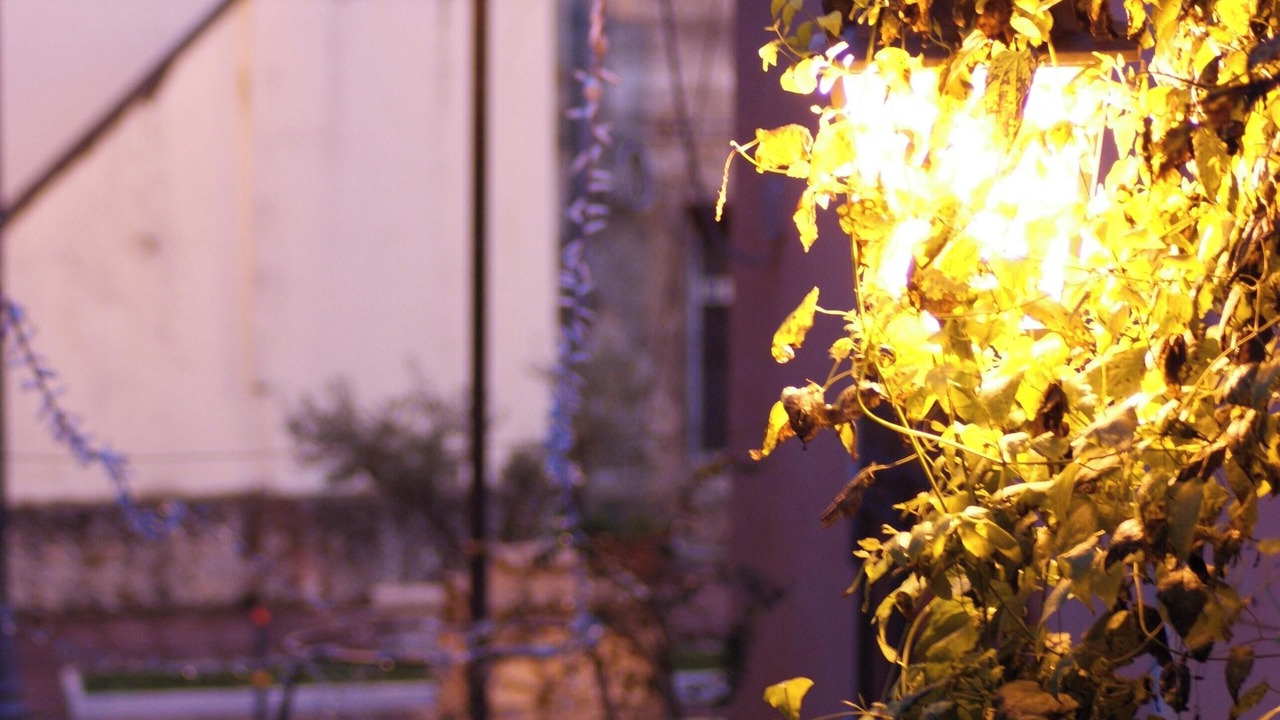 Photo of Outdoor in Mendicino