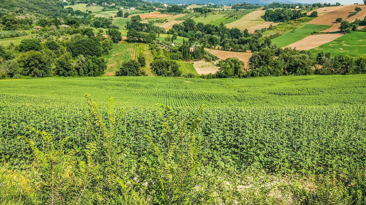 Photo of Outdoor in Vigne