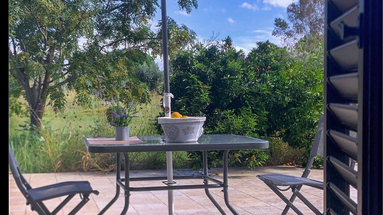 Photo of Outdoor in Gizzeria