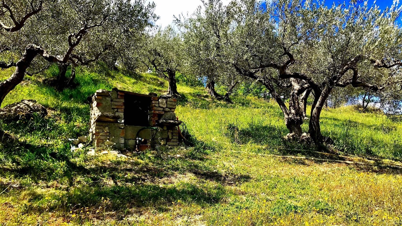 Photo of Outdoor in Pennadomo