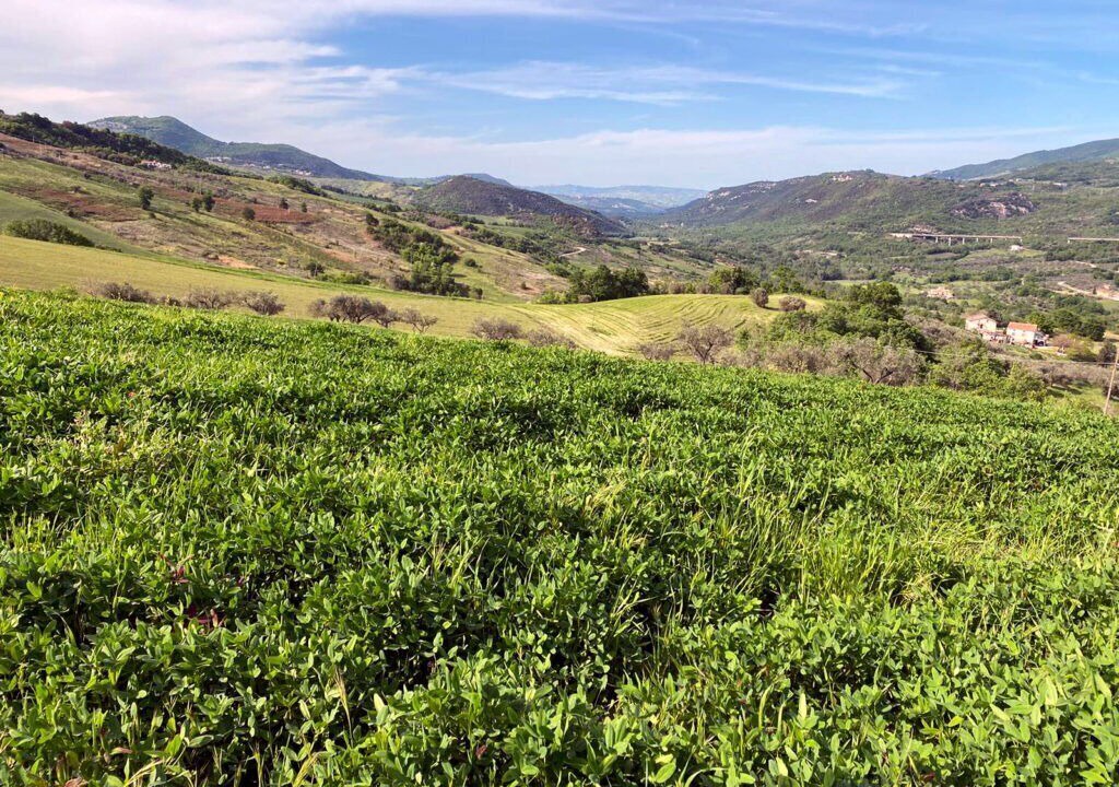 Photo of Outdoor in Pennadomo
