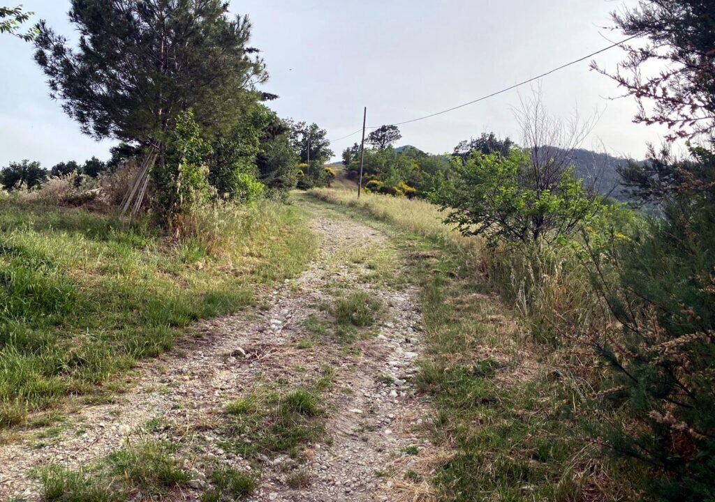 Photo of Outdoor in Pennadomo