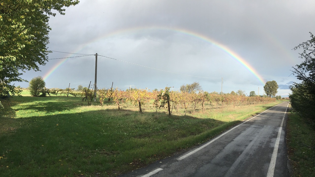 Photo of Outdoor in Bibbiano
