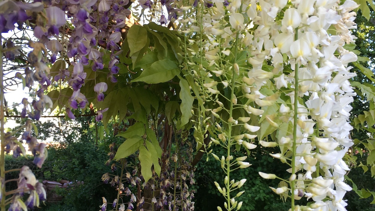 Photo of Outdoor in Bibbiano