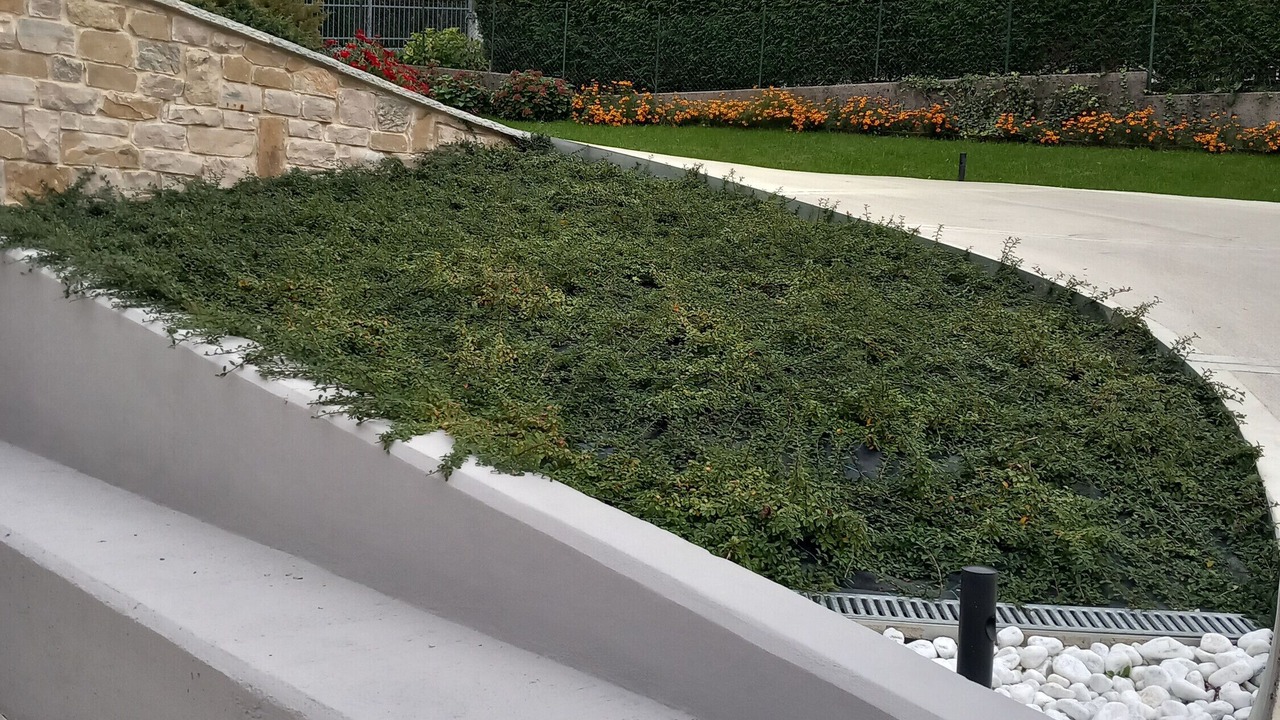Photo of Outdoor in Ponte nelle Alpi
