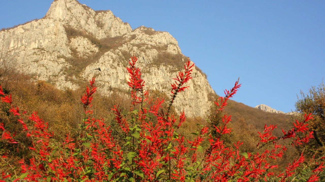 Photo of Outdoor in Lecco