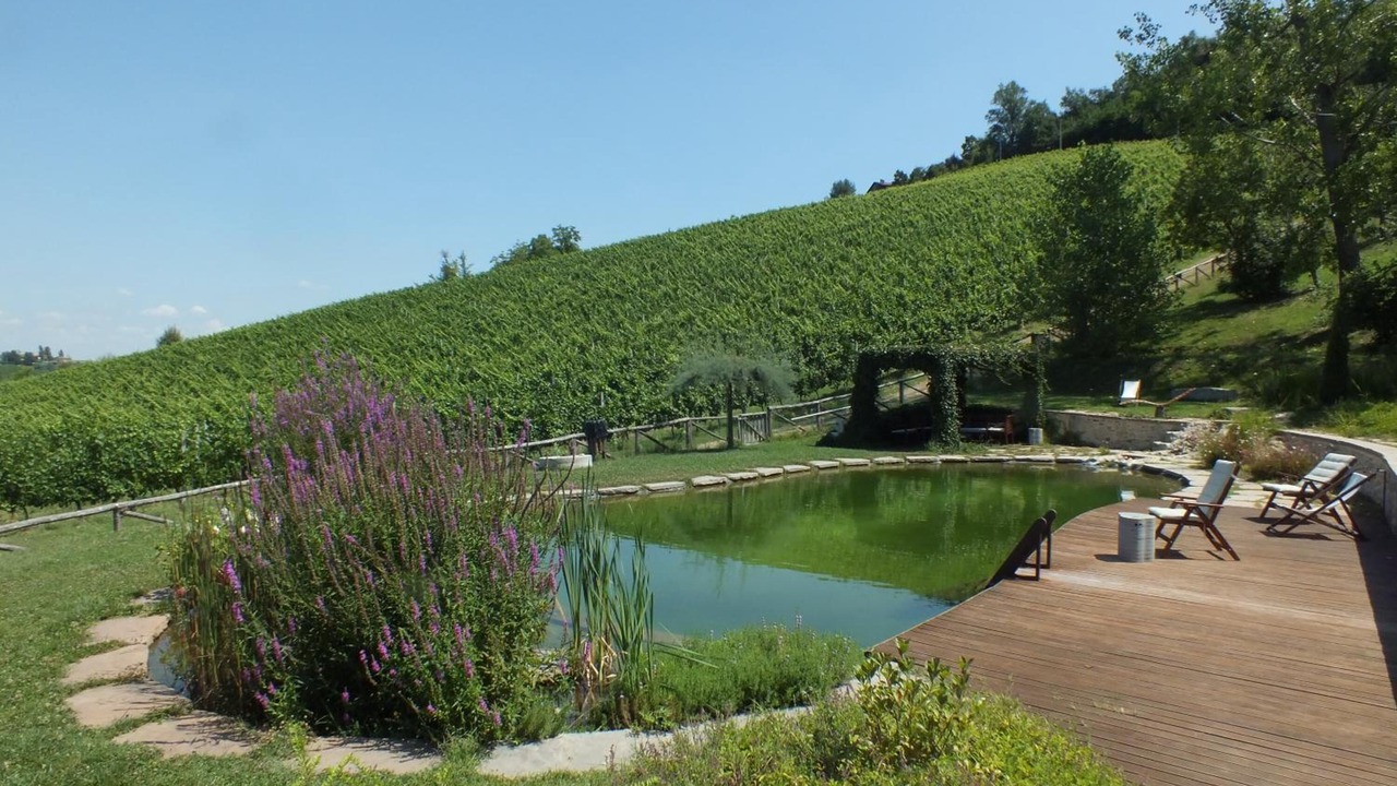 Photo of Outdoor in Monteveglio