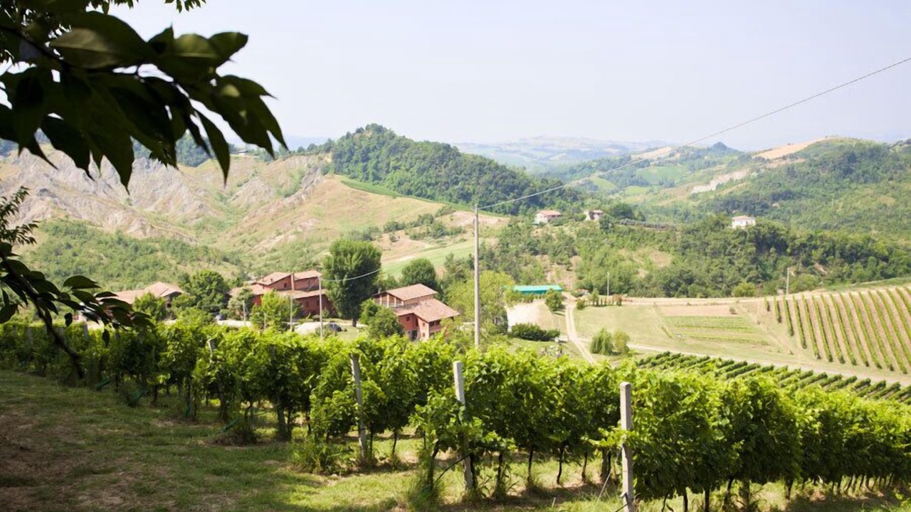 Photo of Others in Monteveglio