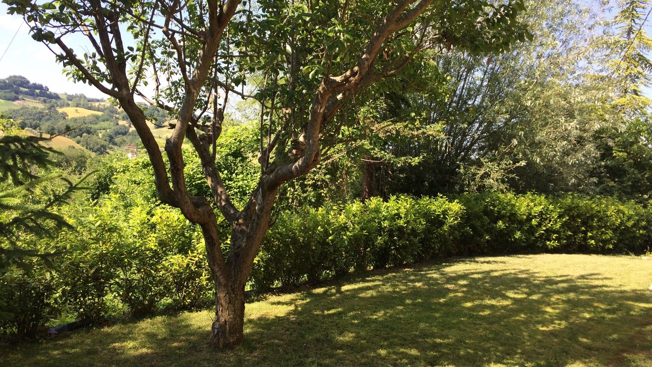 Photo of Outdoor in San Ginesio