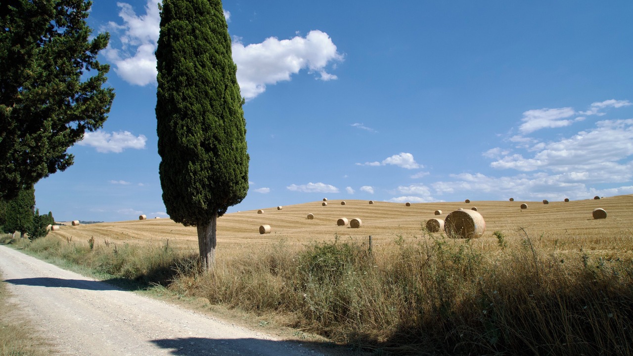 Photo of Others in Pienza