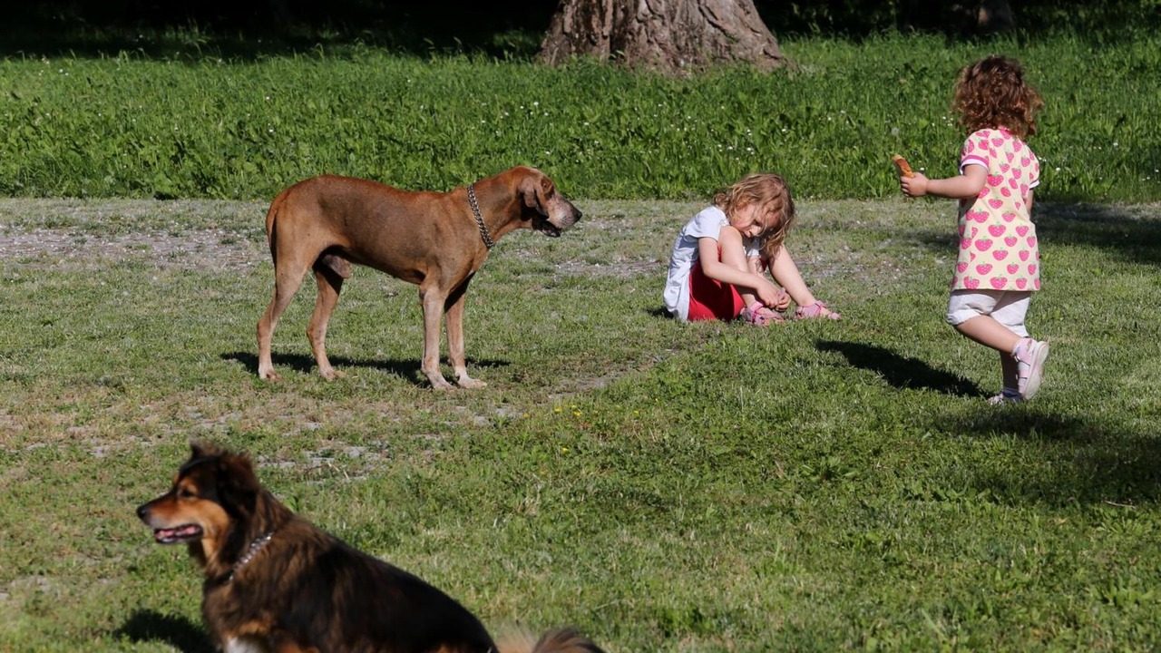 Photo of Outdoor in Musile di Piave