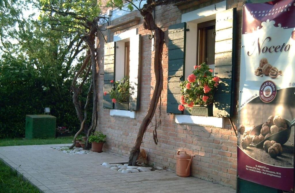 Photo of Outdoor in Musile di Piave
